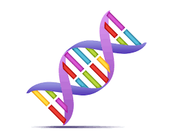 Job's DNA According to God