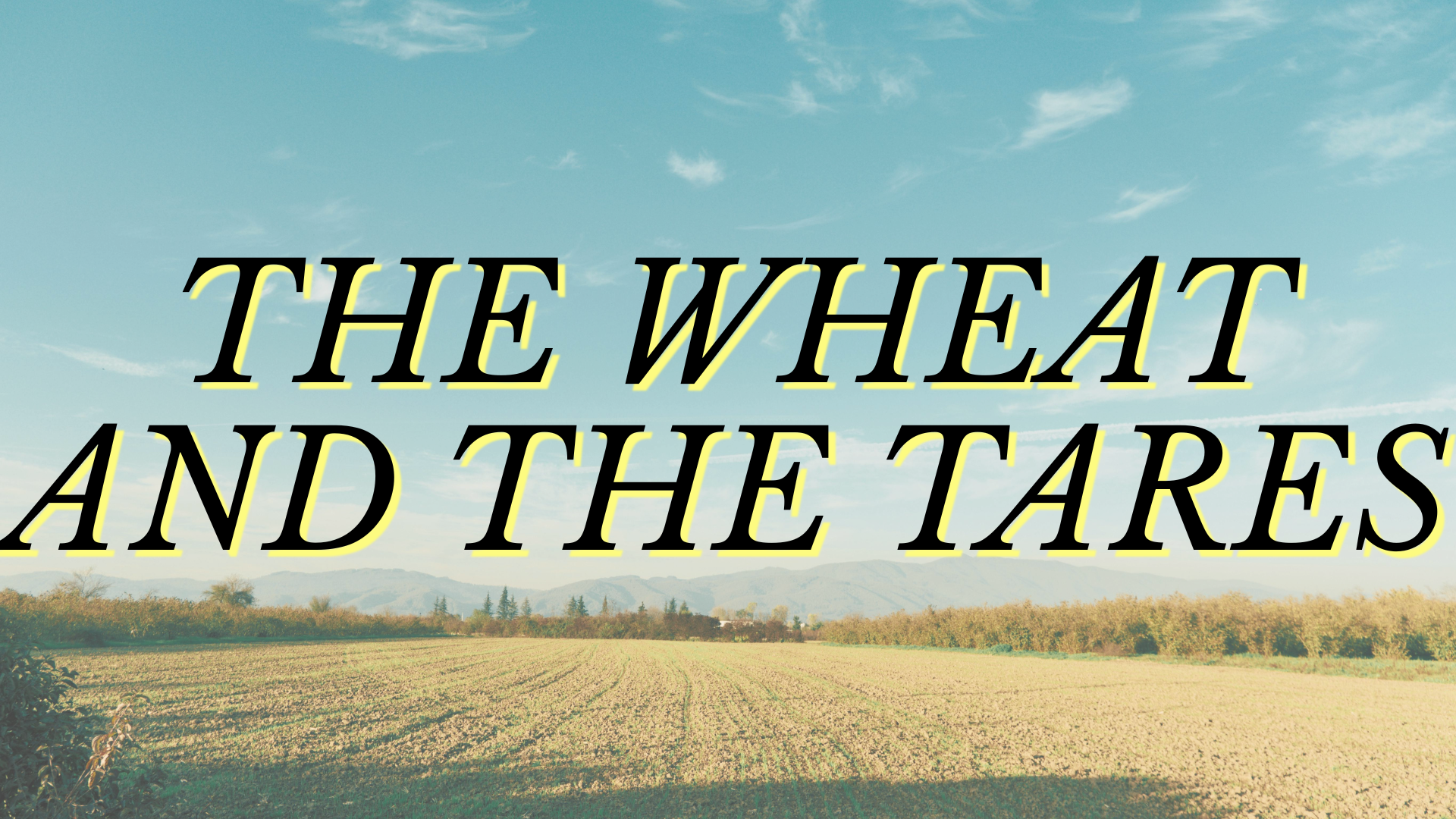 The Wheat And The Tares
